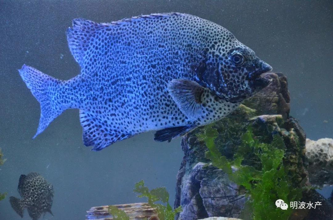 微信图片_20190313202057.jpg 微信图片_20190313202057.jpg